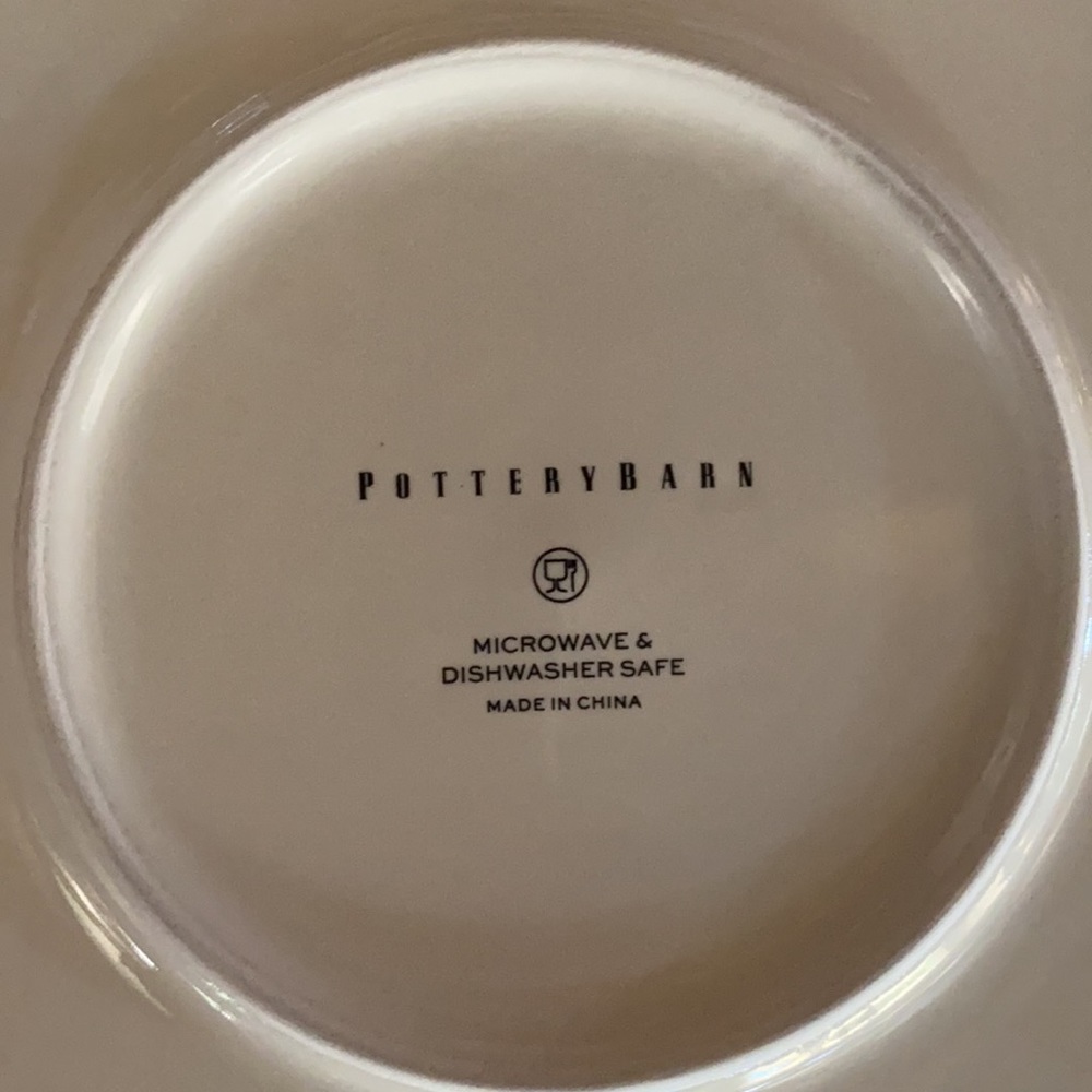 Pottery Barn Botanical Harvest Pumpkin Stoneware Dinner Plates - Set Of 4 - Picture 13 of 16